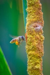 IMG_9684.jpg