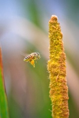 IMG_9669.jpg