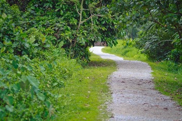 IMG_9666.jpg