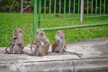 IMG_9643.jpg