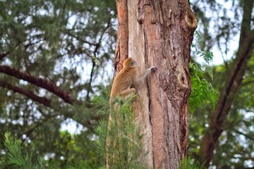 IMG_9579.jpg