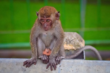 IMG_9528.jpg