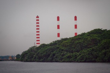 IMG_9373.jpg