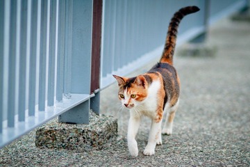 IMG_9351.jpg
