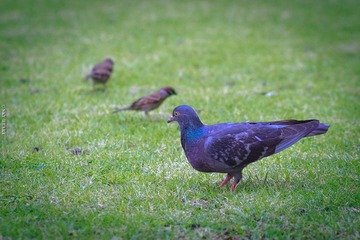 IMG_8822.jpg