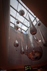 IMG_6929.jpg