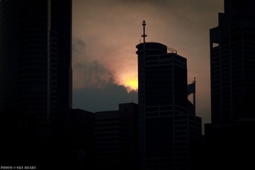 IMG_2185.jpg