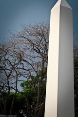 IMG_2064.jpg