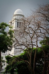 IMG_2063.jpg