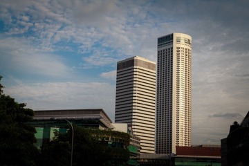 IMG_0252.jpg