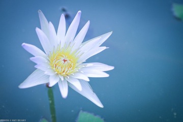 IMG_1682.jpg