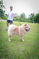IMG_0690.jpg