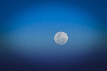 IMG_3210.jpg