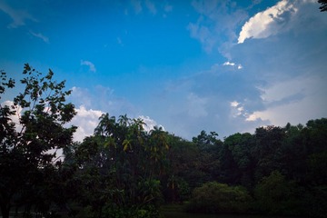 IMG_2737.jpg