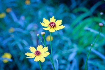 IMG_1246