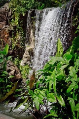 IMG_1159