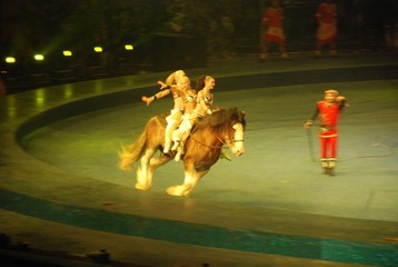 DSC_0240.JPG