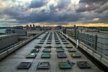 IMG_4638 - 