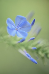3B87885D-CC95-4F86-9647-C41DD905F195/L0/001