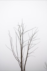 594059