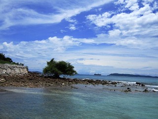 海