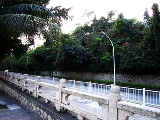 路