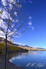 DSC_0093.jpg