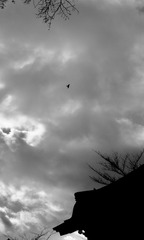 001