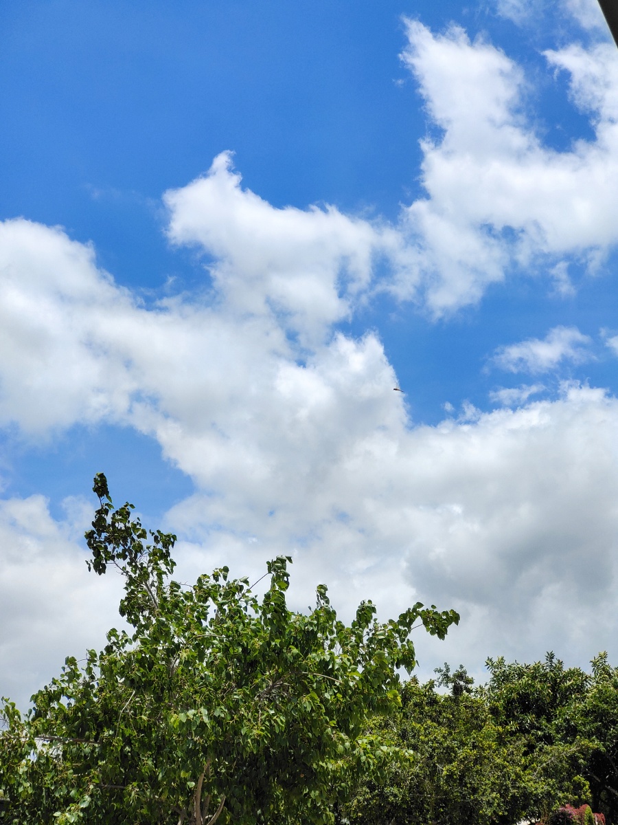 炎热的夏天 - 快乐记录美景