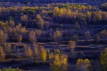 PICT0467-2