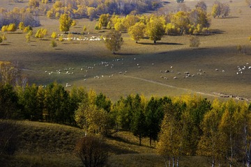 DSC00763-2