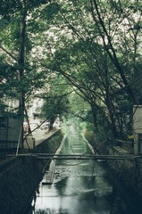 夏日时光流动之河