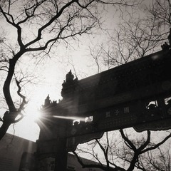 _0010672_副本.jpg