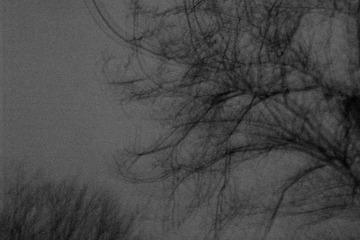 20120301.jpg