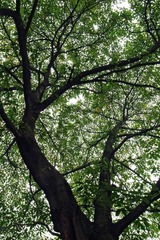 R0010290_副本.jpg