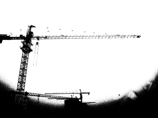 R0011564.JPG
