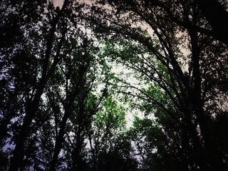 R0010769_副本.jpg