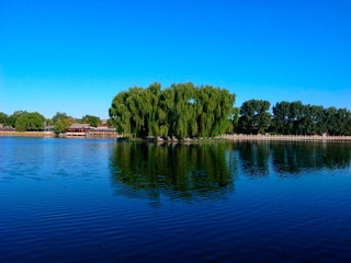 _0047084.JPG