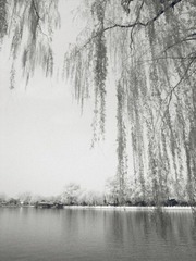 R0012119_副本.jpg