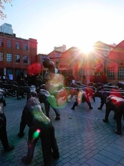 _0047259.jpg