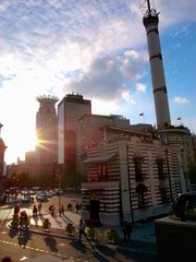 _RIM7582.jpg