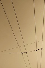 R0010154.jpg