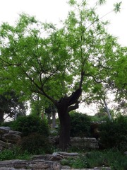VOL.19景山公园9.jpg