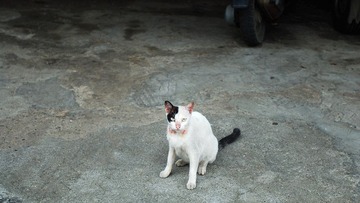 DSC_3687.jpg