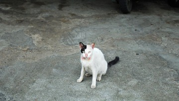 DSC_3687.jpg