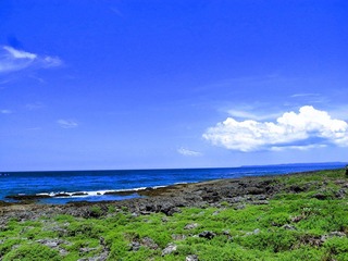 R0012894_HZP.jpg