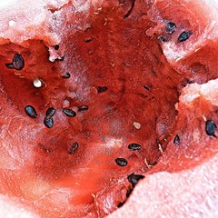 R0013516_HZP.jpg