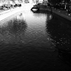 R0014600.jpg