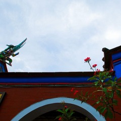 DSC_3279.jpg