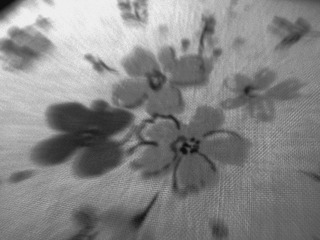 R0015844.jpg